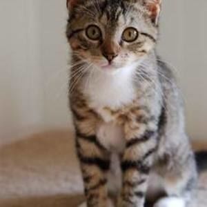 Meet your Posher, Wenli